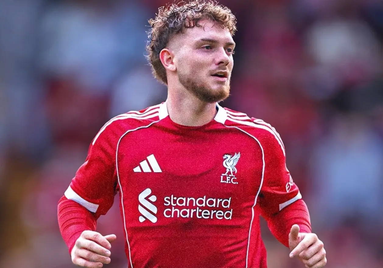 大打折扣, msn, div 大打折扣, msn, div